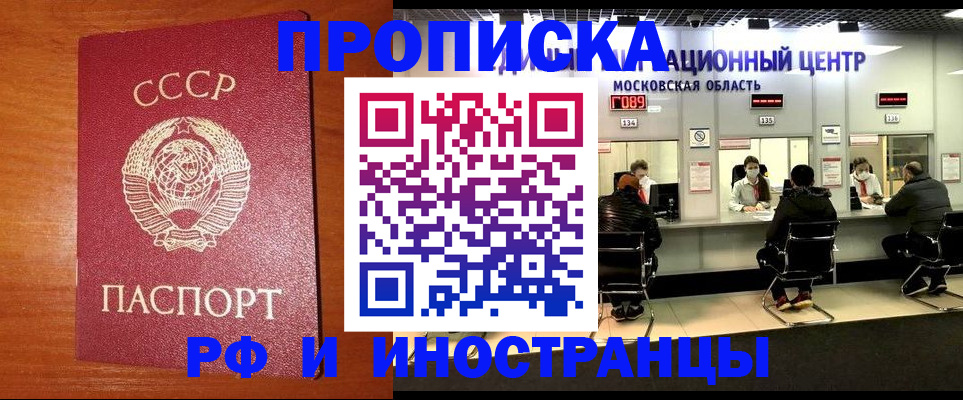 прописка поиск в Нижнем Новгороде